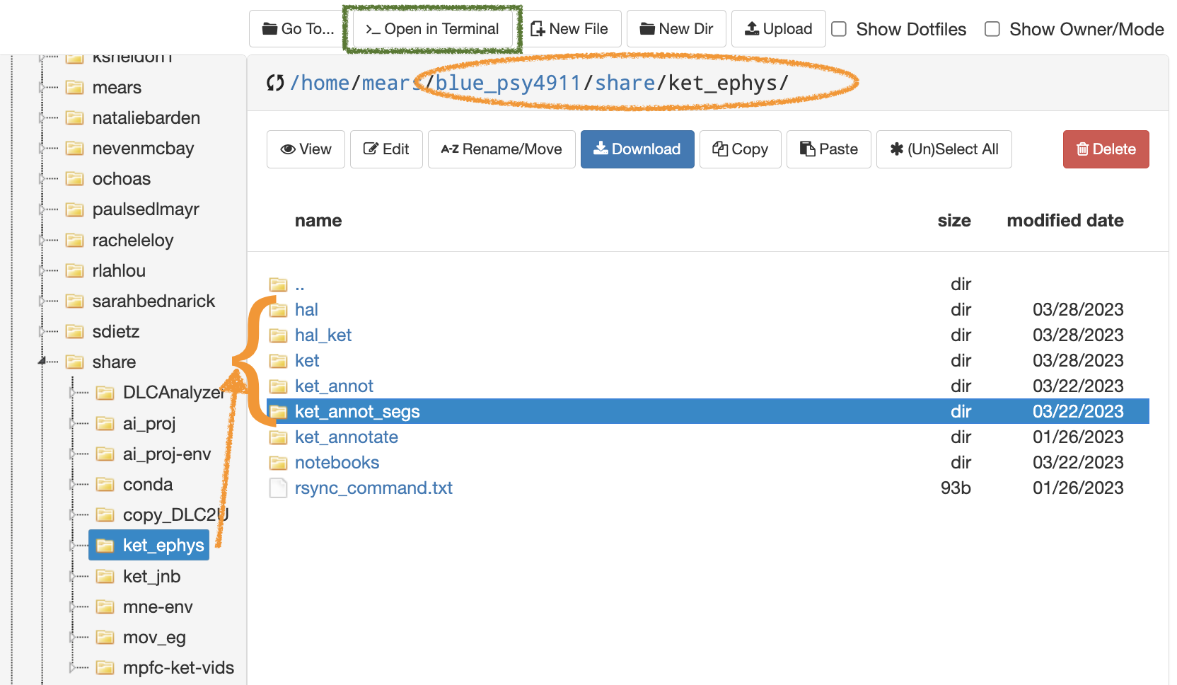 ephys folders to copy from shared folder to your own folder